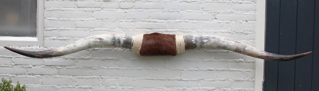 Texas style BULLBAR- 180 cm - afgewerkt met vel en touw, Ophalen, Nieuw, Boerderijdier, Overige typen