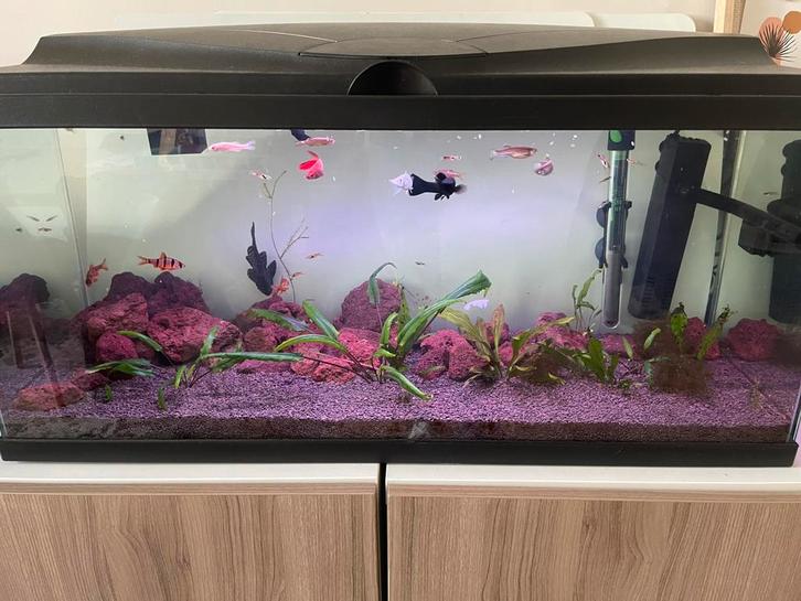 Aquarium, Dieren en Toebehoren, Vissen | Aquaria en Toebehoren, Zo goed als nieuw, Verwarming, Ophalen