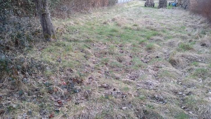 BOUWGROND VAN OIGNIES EN THIERACHE., Immo, Gronden en Bouwgronden