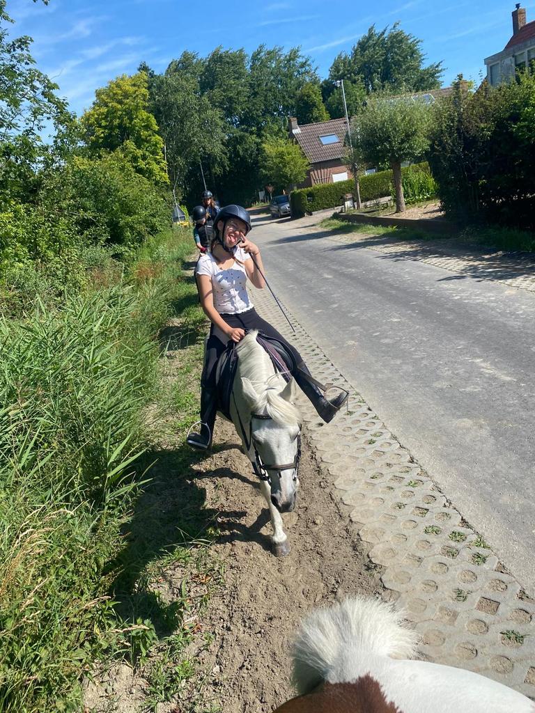Halve stal gezocht !, Dieren en Toebehoren, Paarden en Pony's | Verzorgingsproducten, Zo goed als nieuw, Ophalen of Verzenden