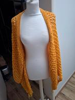 Speciale gilet/poncho, Ophalen of Verzenden