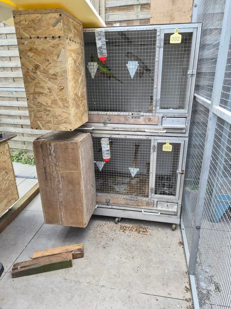 3kweekboxen voor parkieten en kanaries, Ophalen