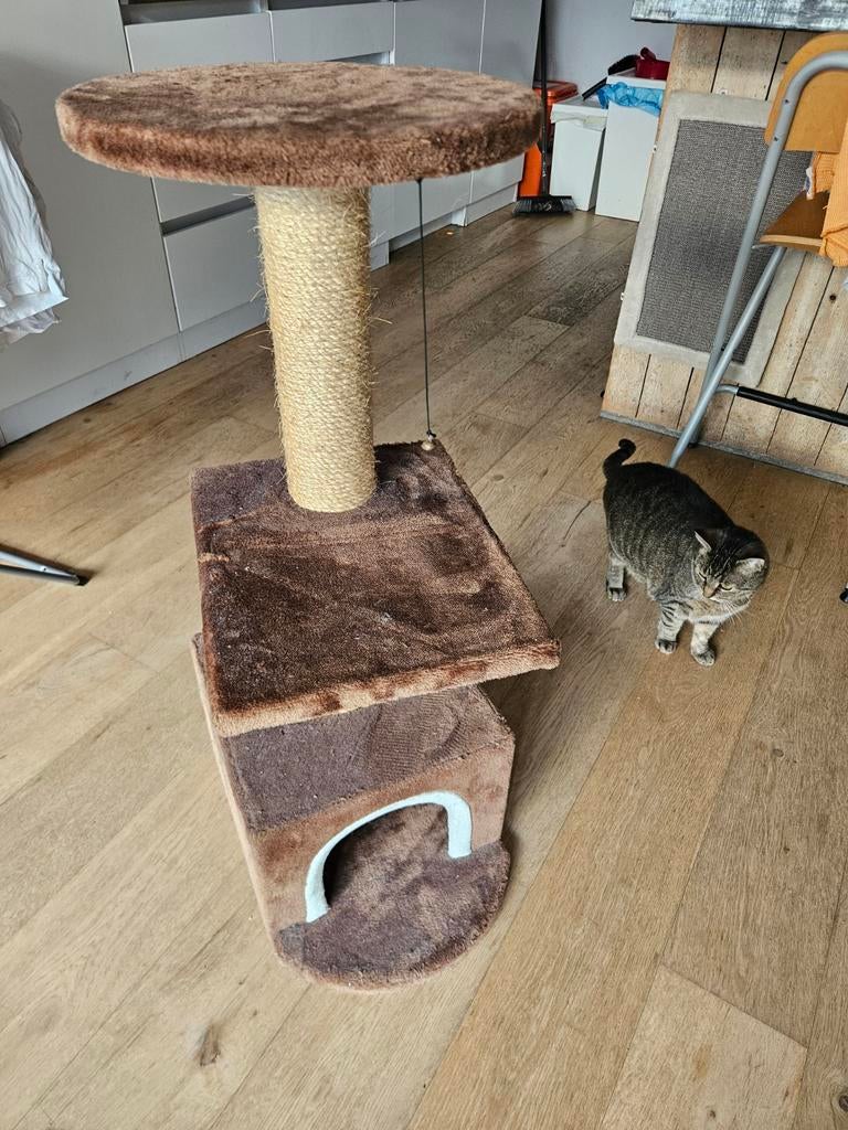 Arbre à Chats, Dieren en Toebehoren, Ophalen