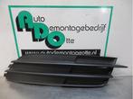Pare-chocs grille d'un Audi A6 (A6 11-), Autos : Pièces & Accessoires, -, 3 mois de garantie, Utilisé, -