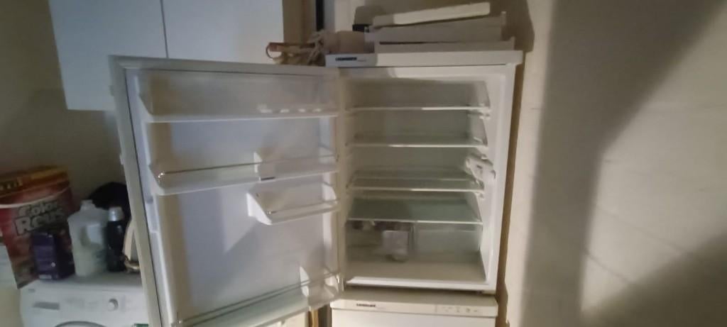 koel vries combinatie Liebherr, Ophalen, Gebruikt, Met aparte vriezer, 45 tot 60 cm