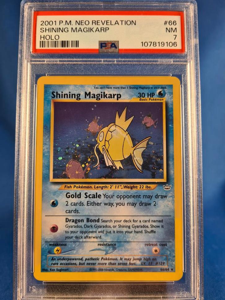 Shining Magikarp 66/64 - Neo Revelation (PSA 7), Hobby & Loisirs créatifs, Jeux de cartes à collectionner | Pokémon, Utilisé, Envoi