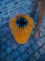 Geitenborstel, Sexe inconnu, Chèvre, 0 à 2 ans