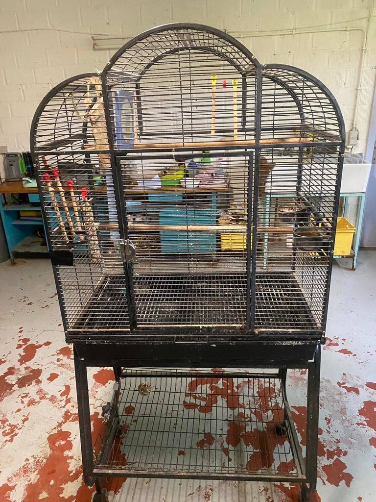 Papegaaie kooi, Enlèvement ou Envoi, Comme neuf