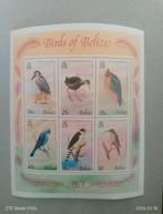 Tampons à oiseaux Vogel, Enlèvement ou Envoi