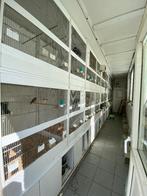 Pvc kweekkooien, zo goed als nieuw, Enlèvement, Comme neuf