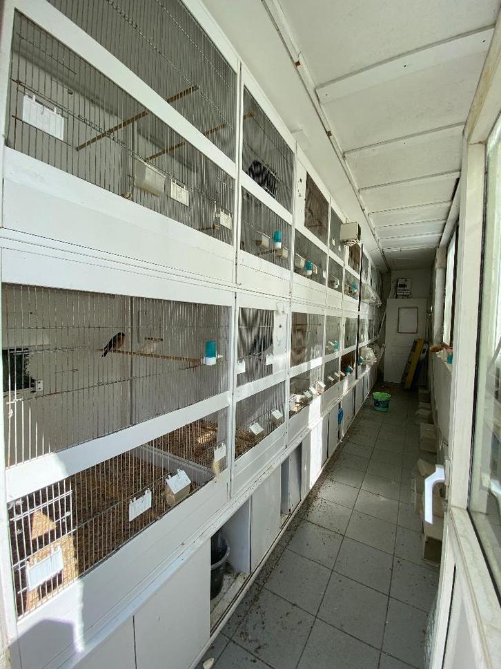 Pvc kweekkooien, zo goed als nieuw, Animaux & Accessoires, Oiseaux | Accessoires, Comme neuf, Enlèvement