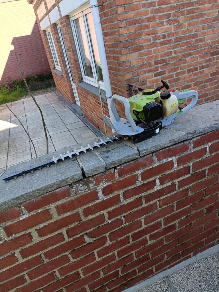 Taille haie à essence CENTRAL PARK  61,5cm longueur coupe, Jardin & Terrasse, Enlèvement, Essence