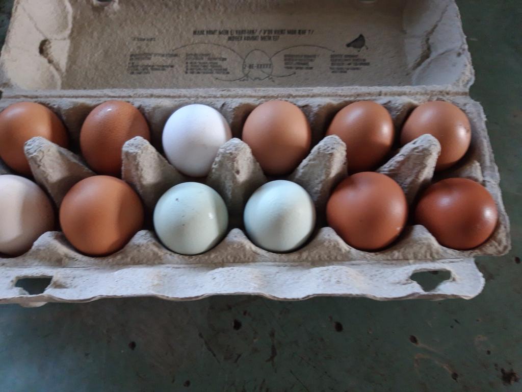 Eieren  te koop, Enlèvement