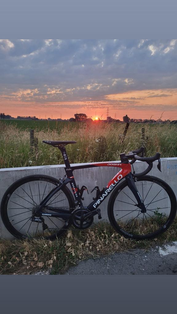 Pinarello, Fietsen en Brommers, Ophalen, Gebruikt, Overige merken