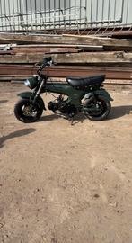 Dax 50cc b klasse., Ophalen, Nieuw, Klasse B (45 km/u), 4 versnellingen