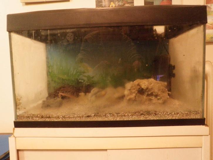 Un aquarium., Animaux & Accessoires, Poissons | Aquariums & Accessoires, Utilisé, Gravier, Sable ou Substrat, Enlèvement