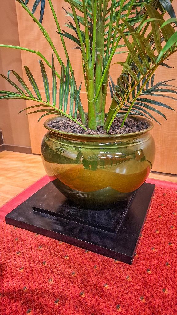 kunstplant Heel mooi, Huis en Inrichting, Woonaccessoires | Kunstplanten en Kunstbloemen, Zo goed als nieuw, Binnen, Buiten, Ophalen