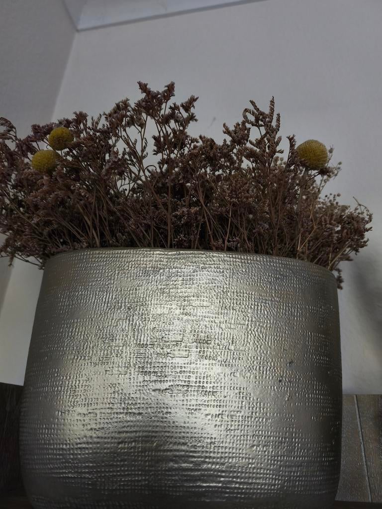 Mooie vaas met droogbloemen, Ophalen