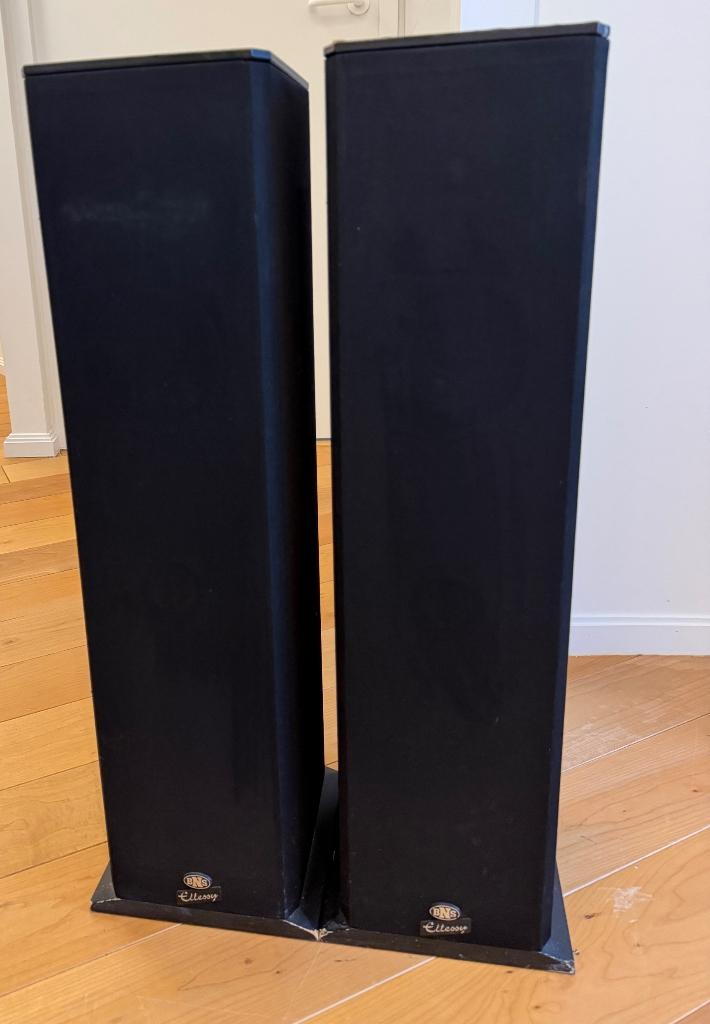 Boxen BNS Elessy One vloerstaand, Audio, Tv en Foto, Versterkers en Ontvangers, Ophalen, Gebruikt