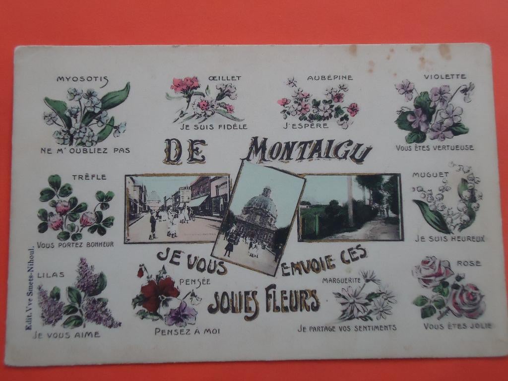 Scherpenheuvel , Montaigu Je vous envoie ces jolies fleurs, Verzamelen, Ophalen of Verzenden, Voor 1920, Ongelopen, Vlaams-Brabant