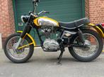 Ducati Scambler350, Sport, Particulier