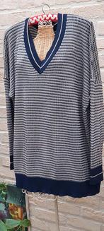 Trui maat 52 excellent, Kleding | Dames, Ophalen of Verzenden, Zo goed als nieuw
