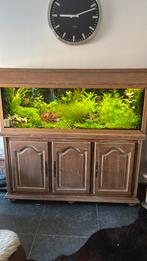 Emmer vol aquariumplanten, Dieren en Toebehoren, Ophalen, Zo goed als nieuw