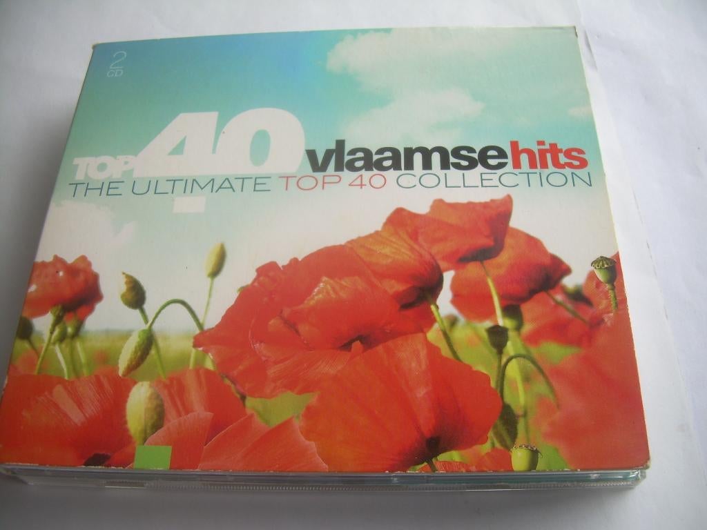 2 CD S - TOP 40 - VLAAMSE HITS, Cd's en Dvd's, Ophalen of Verzenden, Zo goed als nieuw, Nederlandstalig