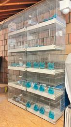 Étagère de culture de 10 pièces à vendre., Animaux & Accessoires, Enlèvement, Comme neuf