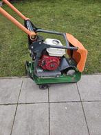 Belle trilplaat, Enlèvement