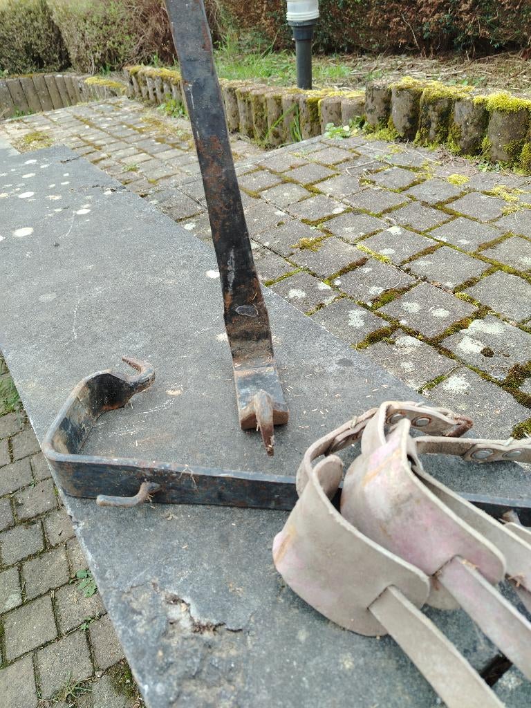 Klimsporen bomen, Ophalen, Overige soorten