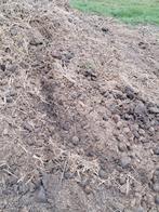 Mest paard en koe, Ophalen, Mest