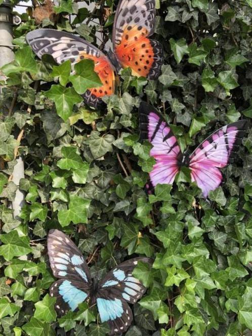 vlinder ,muurdecoratie, Jardin & Terrasse, Décoration murale de jardin, Neuf, Enlèvement ou Envoi
