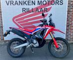 CRF300 RALLY/CRF300/RALLY/CRF/300, 300 cc, Bedrijf, Enduro, 1 cilinder