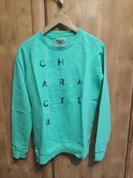Lichtgroene sweater Garcia Jeans, Kinderen en Baby's, Kinderkleding | Maat 176, Ophalen of Verzenden, Zo goed als nieuw, Garcia Jeans