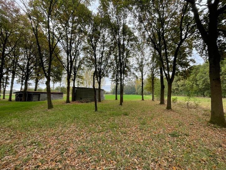 uniek weiland in agrarisch gebied te Kessel, Immo, Gronden en Bouwgronden, 1500 m² of meer