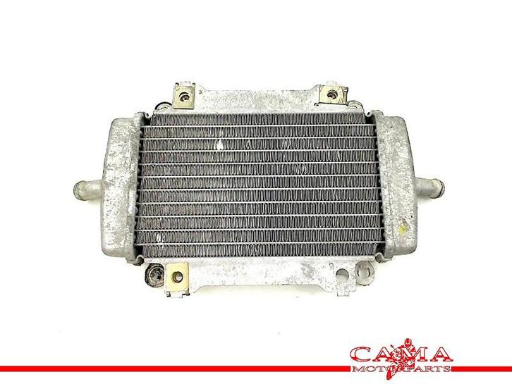 RADIATEUR GTS 300 2009-2013 (GTS300 Super ZAPM45200), Motoren, Onderdelen | Overige, Gebruikt