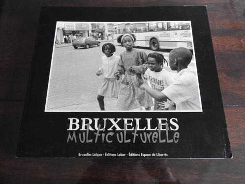 Livre Bruxelles Multiculturelle - Bruxelles Laïque, Livres, Politique & Société, Utilisé, Société, Enlèvement