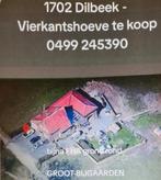 Maison de campagne de 367 m2 +/-1 hectare de terra, Immo, Maisons à vendre