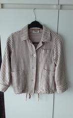 Jasje voor dames of tienermeisjes.Maat XS.Merk CKS, Ophalen, Zo goed als nieuw, Maat 34 (XS) of kleiner, Jasje