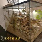 Ruim Maatwerk Muizen Terrarium 100x93x76, Dieren en Toebehoren, 60 tot 90 cm, Nieuw, Ophalen of Verzenden, Muis