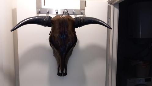 Crâne de taureau peint - Couleur marron foncé métallique -, Collections, Collections Animaux, Comme neuf, Crâne, Autres, Enlèvement ou Envoi