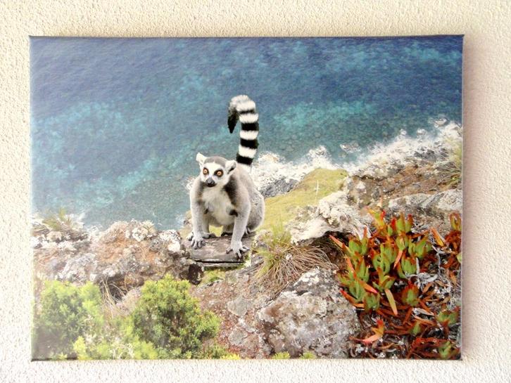 Photographie decoration chambre d'enfant - Lemurien, Enfants & Bébés, Chambre d'enfant | Aménagement & Décoration, Neuf, Décoration murale