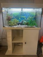 Juwel Rio 125 LED, Dieren en Toebehoren, Vissen | Aquaria en Toebehoren, Ophalen, Zo goed als nieuw