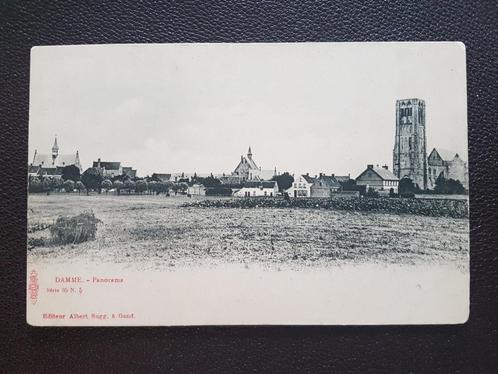 Postkaart Damme Panorama (editeur Albert Sugg ), Verzamelen, Postkaarten | België, Ongelopen, West-Vlaanderen, Voor 1920, Ophalen of Verzenden