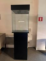Trofeekast, Huis en Inrichting, Ophalen, Gebruikt