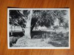 Ansichtkaart Winterswijk Boerderij De Luber 8043, Verzamelen, Ophalen of Verzenden