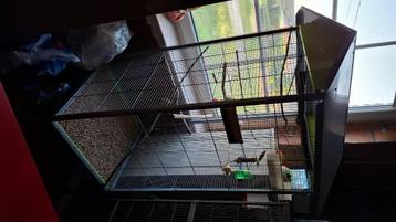 Vogel kooi, zonder vogel, Dieren en Toebehoren, Mannelijk