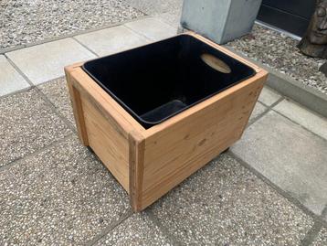 caisse en bois + pot plastique beschikbaar voor biedingen