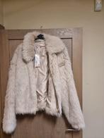 Jas esqualo maat 46 nieuw, Neuf, Taille 46/48 (XL) ou plus grande, Enlèvement ou Envoi, Beige